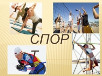 Спорт