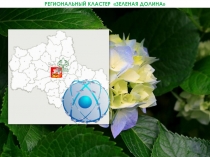 Зеленая долина-1