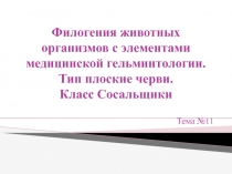 Филогения животных организмов с элементами медицинской гельминтологии. Тип плоские черви. Класс Сосальщики