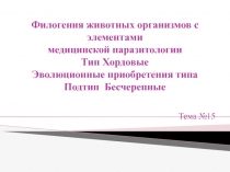 Хордовые