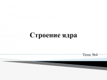 Строение ядра