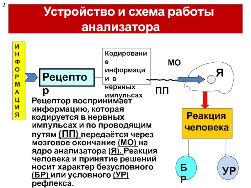 Работа анализаторов