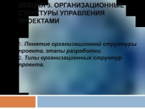 Организационные структуры управления проектами 