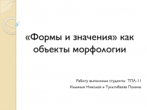 Формы и значения как объекты изучения морфологии 