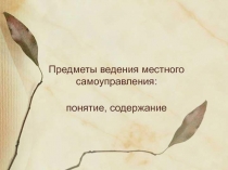 Предметы ведения местного самоуправления: понятие, содержание
