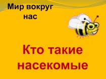 Мир вокруг нас Кто такие насекомые