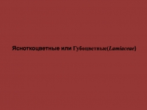Ресурсоведение Сложноцветные Губоцветные 
