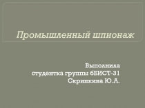 Скрипкина Ю.А..pptx