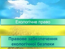 Поняття екологічної безпеки та її правові основи