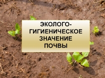 Почва и ее влияние на здоровье населения 