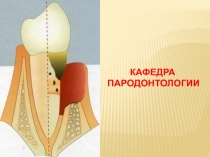 5. Фазы лечения.pptx