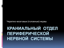 Краниальный отдел периферической нервной системы Черепно-мозговые (головные) нервы