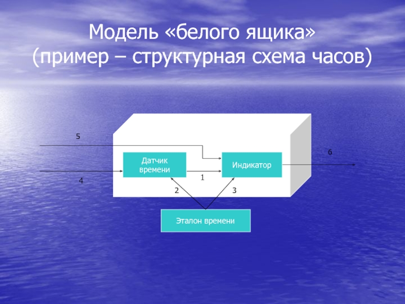 Черный ящик структурная схема