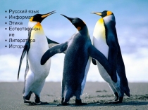 ЛПЗ_v1.pptx