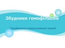 Збудники гемофільозів 
