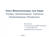 Класс Млекопитающие, или Звери. Отряды: Однопроходные, Сумчатые, Насекомоядные, Рукокрылые. 