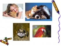 my pets 