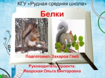 Белки