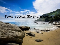 Жизнь в океане