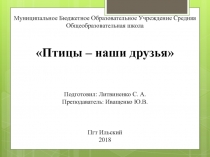 Птицы – наши друзья