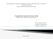 Сердечно-сосудистая система