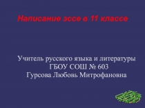 Написание эссе в 11 классе