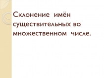 Склонение имён существительных во множественном числе.