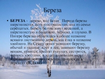 Береза 