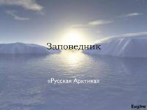 Заповедник  «Русская Арктика»