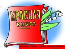 Растения Красной книги Республики Алтай