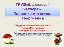ГРИБЫ. 1 класс.