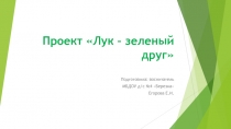 Проект «Лук – зеленый друг» 