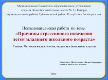 Причины агрессивного поведения детей младшего школьного возраста