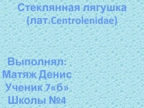 Стеклянная лягушка (лат.Centrolenidae)