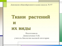 Ткани растений и их виды