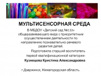 МУЛЬТИСЕНСОРНАЯ СРЕДА