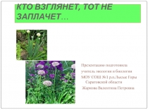 РАЗНОВИДНОСТИ ЛУКА (ALLIUM)