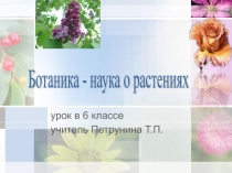 Ботаника - наука о растениях