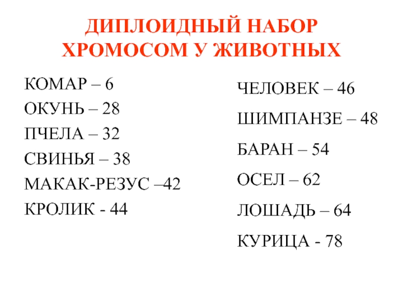 Число хромосом в диплоидном наборе. Диплоидный и гаплоидный набор хромосом животных. Диплоидный набор хромосом. Диплоидный набор хромосом человека. Диплоидный набор человека.