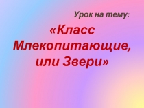 Класс Млекопитающие, или Звери