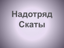 Надотряд Скаты