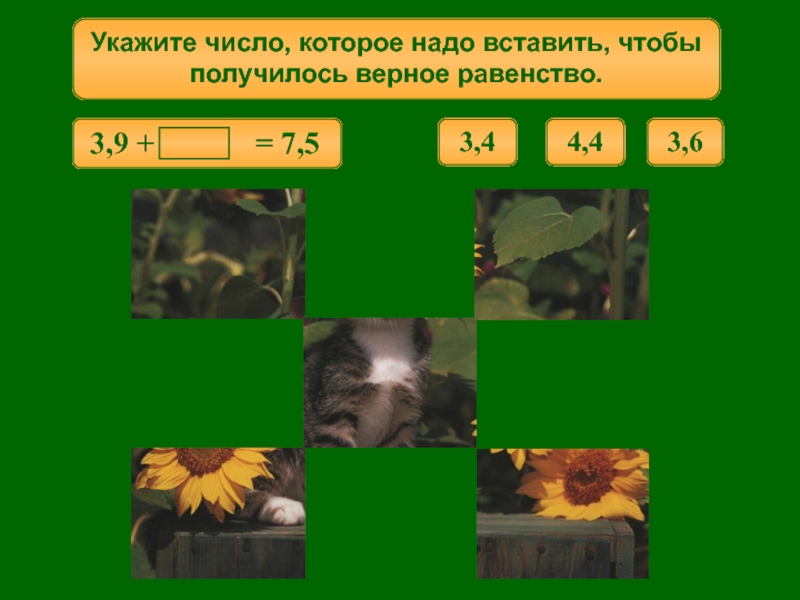 Верное равенство 36. Найти верное равенствобикю. Какое число нужно подставить чтобы получилось 6...+...2=81.