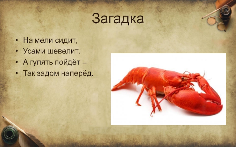 Задам загадку. Загадка про Омара. Загадки про лобстера. Загадка про лобстер. Загадки про попу.