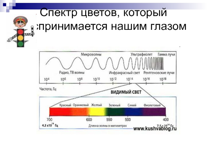 Спектр видимый глазом. Частоты видимого спектра света. Видимый диапазон глаза. Видимый глазу спектр. Частота луча.