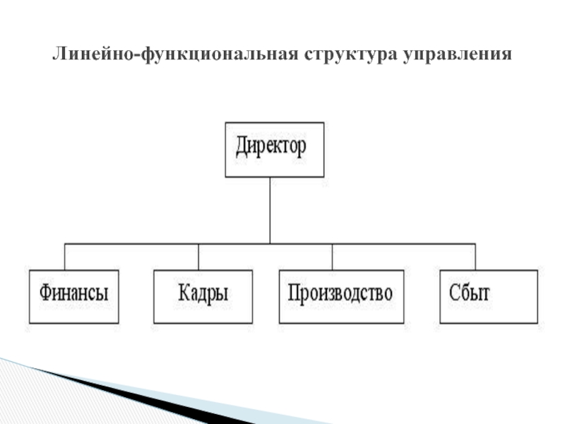 Линейно функциональная организационная структура. Линейно-функциональная организационная структура управления схема. Линейная- функциональная организационная структура схема. Линейно-функциональная структура организации схема. Линейно-функциональная структура предприятия схема.