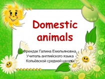 Domestic animals