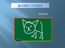 Животные   Animals