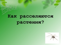 Как расселяются растения?