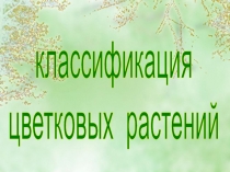 классификация цветковых растений