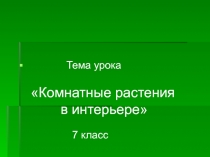 Комнатные растения в интерьере